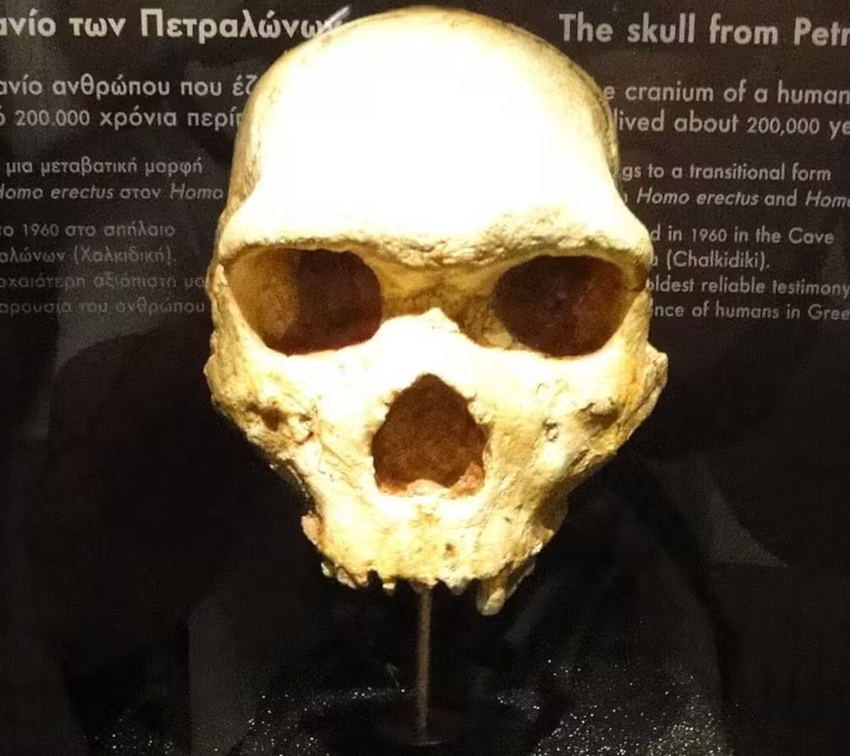 El hallazgo en Grecia ofrece una nueva visión sobre el pasado humano, ya que el cráneo encontrado en Petralona podría reescribir la historia evolutiva y cuestionar la clasificación convencional del ser humano y su vínculo con el neandertal.