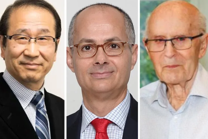 El premio Nobel de Química del año 2025 podría tener relación con la investigación en compuestos de red metálico-orgánica, los cuales podrían contribuir al desarrollo de soluciones para enfrentar las consecuencias del cambio climático.