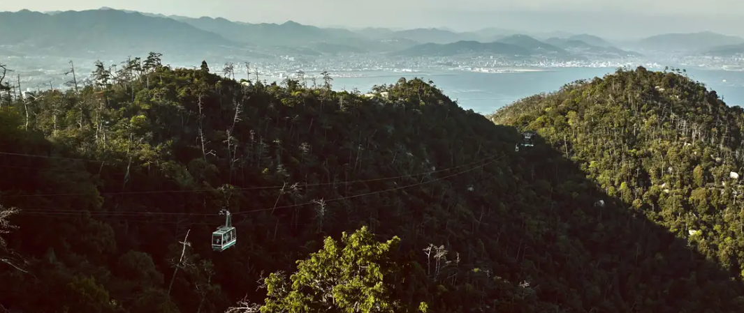 Marcos Valdés expresa que Florinda Meza requiere ayuda profesional debido a sus comentarios controvertidos sobre Don Ramón y otros miembros del elenco.