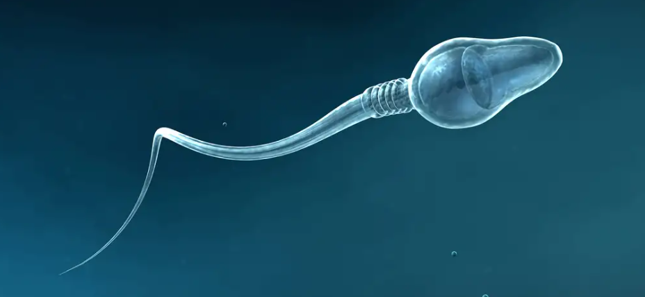 La fertilización asistida con inteligencia artificial ha permitido el embarazo en varones con dificultades de fertilidad.