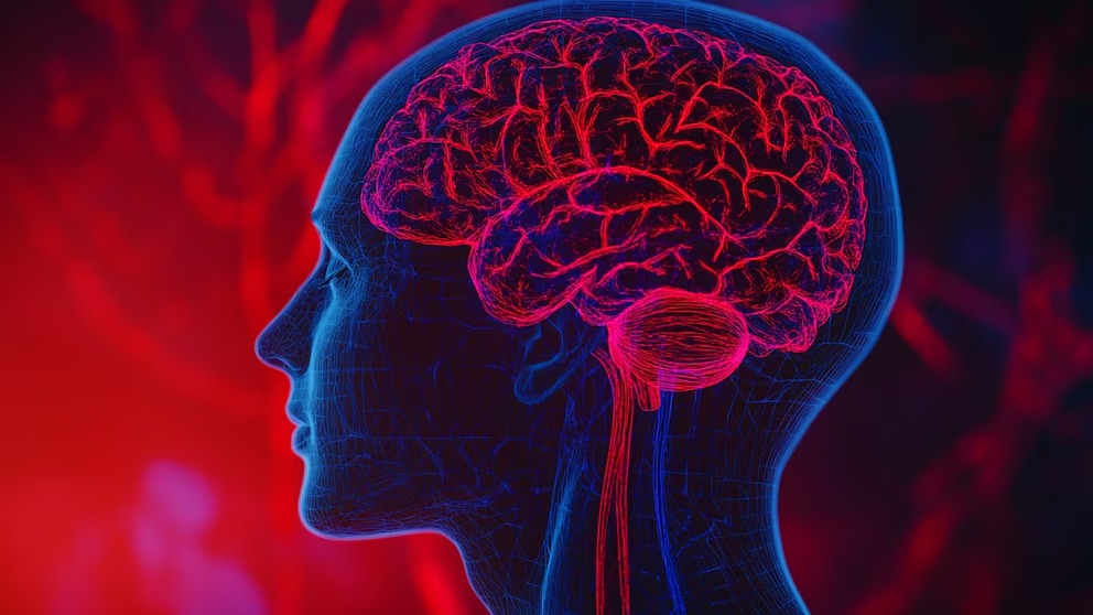 ¿Cuáles son los parámetros para considerar el ‘detox’ de dopamina como bienestar?