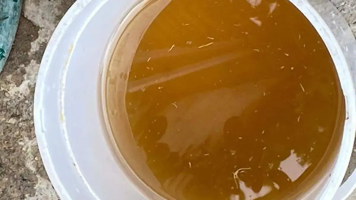 ¡26 denuncias formales y aún agua contaminada! CEDHJ confirma crisis en la ZMG