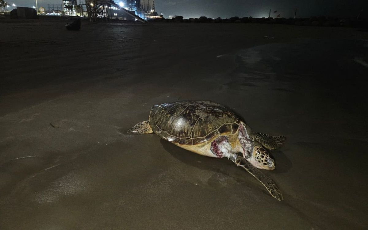 Pemex confirma fuga en oleoducto submarino como causa del derrame en el Golfo; oposición exige comparecencias