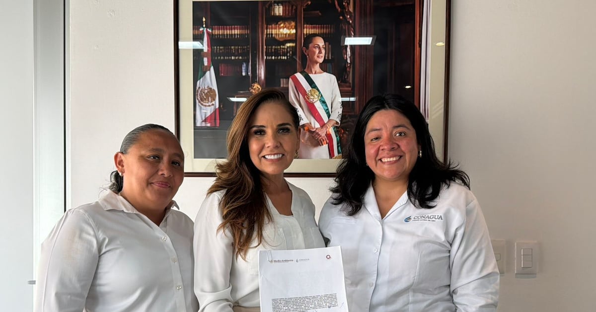 Activistas cuestionan sacrificio de 10 mil perros en Tecámac; refugio en Jalisco evita clausura; hallan activista ambiental muerto en Michoacán