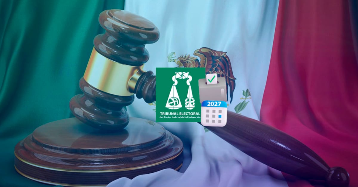Magistrado del TEPJF advierte ‘tormenta perfecta’ si elección judicial coincide con comicios de 2027