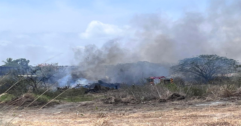 Incendios en Altamira y mortandad de dos toneladas de peces por salinidad en el Estero del Camalote