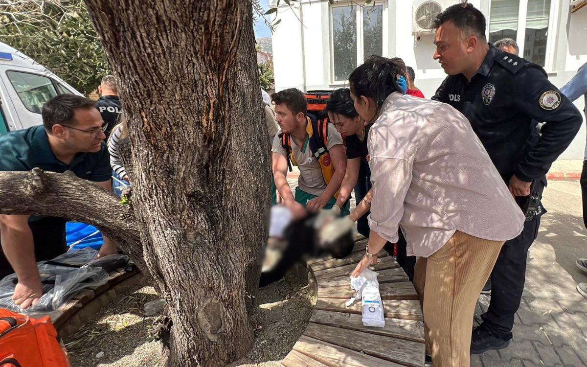 Impulsan en Tamaulipas ley para proteger docentes ante crisis de violencia; aprueban reforma sindical