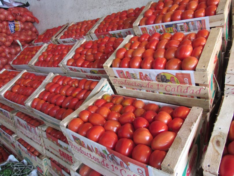 El “Efecto Tomate” golpea el bolsillo: Sequía y calor disparan precios de la canasta básica en México