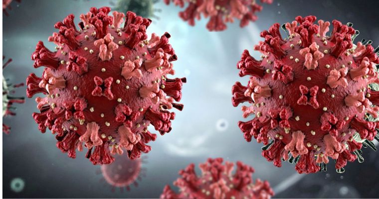 Alerta sanitaria global: La OMS confirma alta letalidad en el brote de Hantavirus