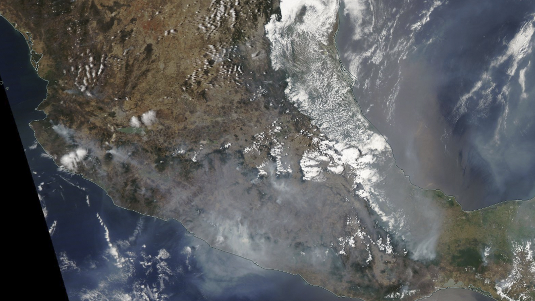 Tecnología al rescate del bosque: México usará satélites e IA contra incendios forestales